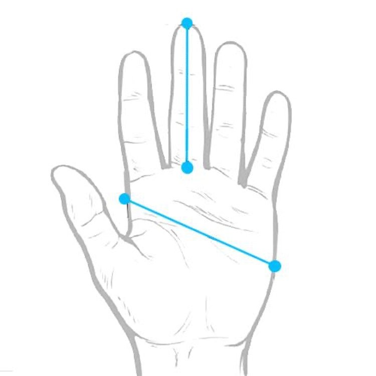 ilustracion medidas guantes Vaikobi